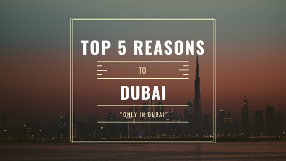 What are the Top 5 Reasons to Visit Dubai