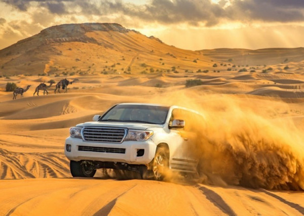 Evening Desert Safari with BBQ, Camel Ride & Sandboarding