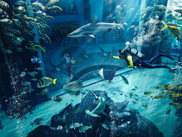 The Lost Chambers Aquarium at Atlantis the Palm