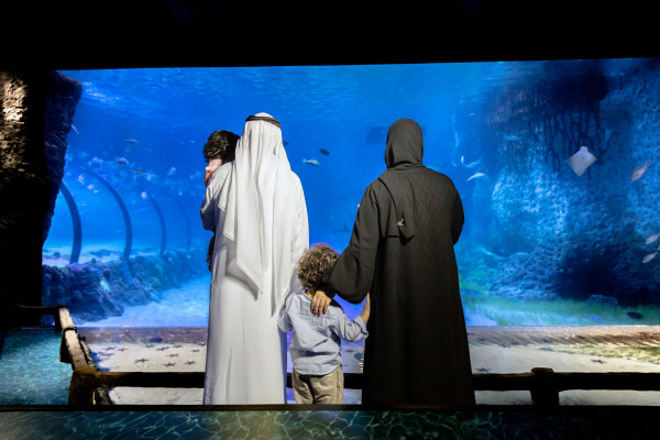 The National Aquarium Abu Dhabi