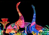 Dubai Garden Glow Ticket