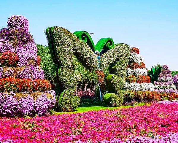 Butterfly Garden Dubai Tickets
