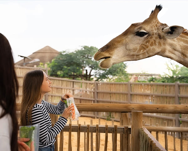 Dubai Safari Park