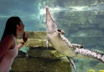 dubai-crocodile-activity-05