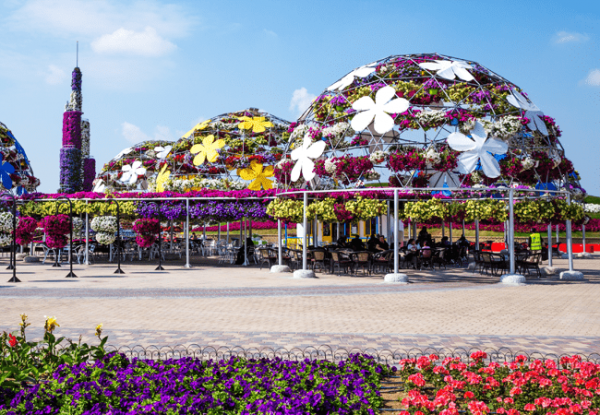 Miracle Garden Ticket