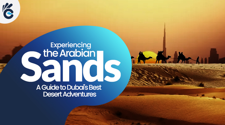 Experiencing the Arabian Sands: A Guide to Dubai's Best Desert Adventures