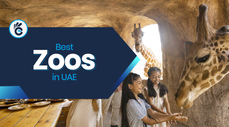 Best Zoos in UAE