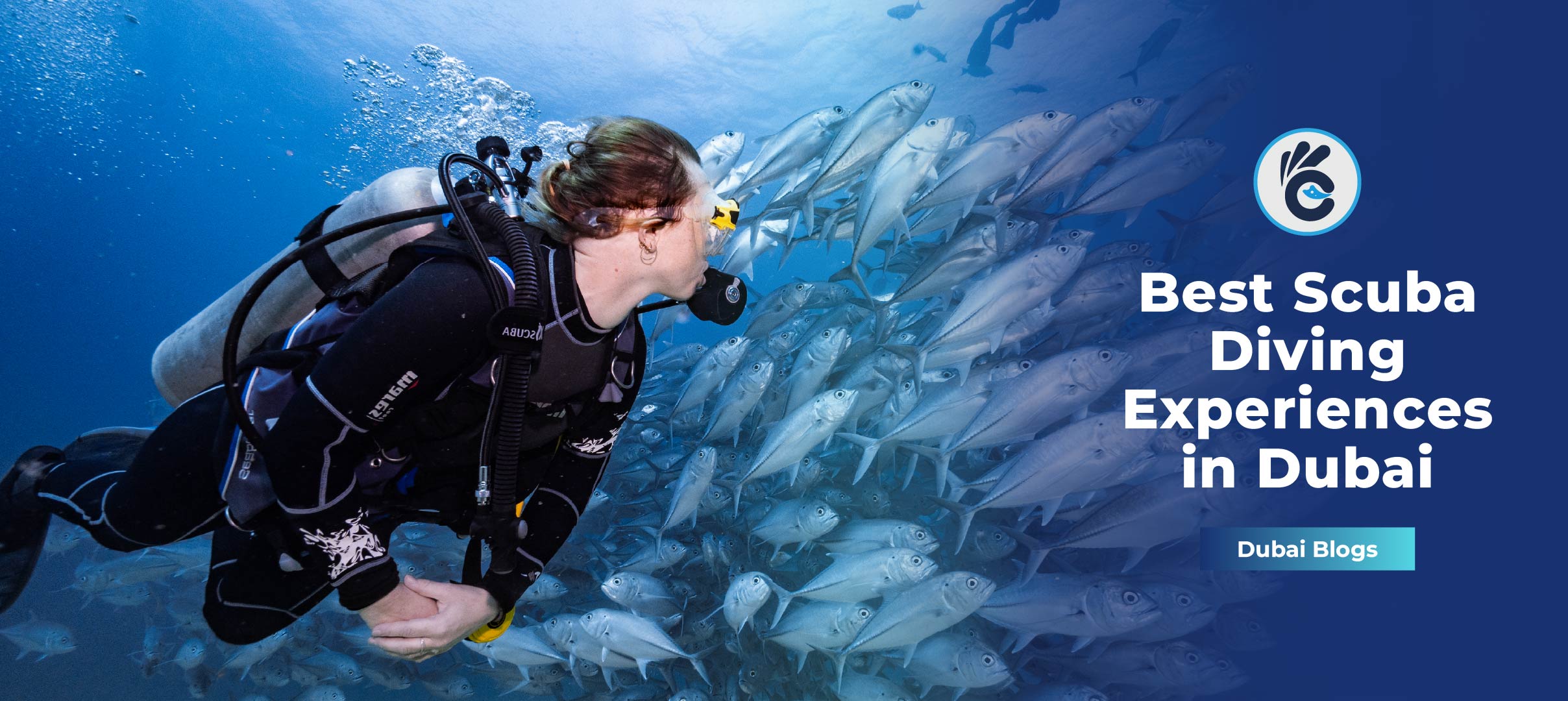 Best Scuba Diving Experiences in Dubai